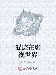 混迹在影视世界 封面