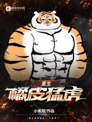 重生橘皮猛虎 封面