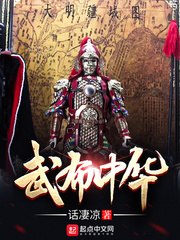 武布中华 封面
