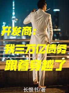 我是开发商,爱组歌舞团 封面