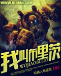 我叫布里茨 封面