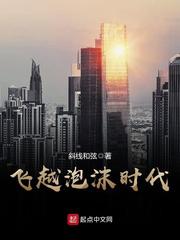 飞越泡沫时代 封面