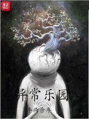 异常乐园 封面