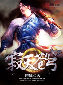 寂灭苍穹 封面