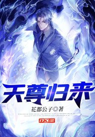 天尊归来 封面