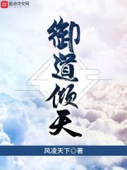 风凌天下作品 封面