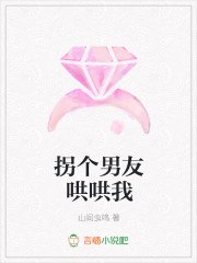 拐个男友哄哄我 封面