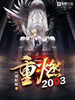重燃2003 封面