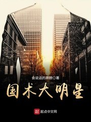 国术大明星 封面