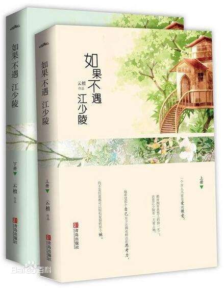 如果不遇江少陵 封面